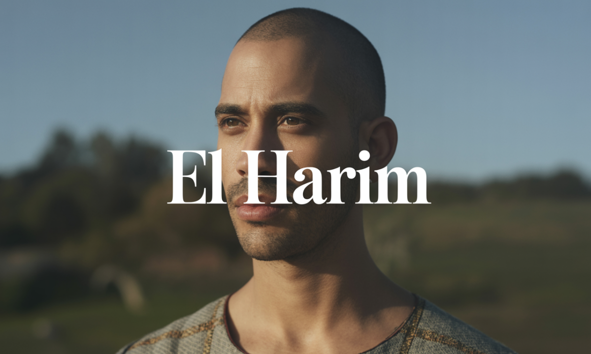 découvrez el harim, un lieu unique alliant authenticité et modernité, où traditions et innovation se rencontrent pour une expérience inoubliable.