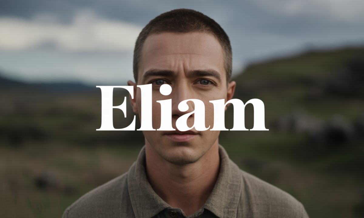 découvrez eliam, un prénom unique et moderne, parfait pour votre enfant. explorez son origine, sa signification et sa popularité.
